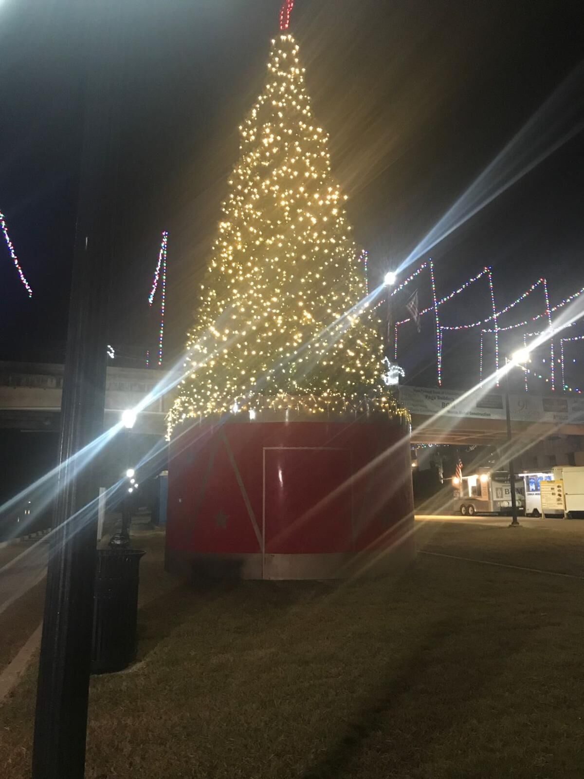 Natchitoches tree